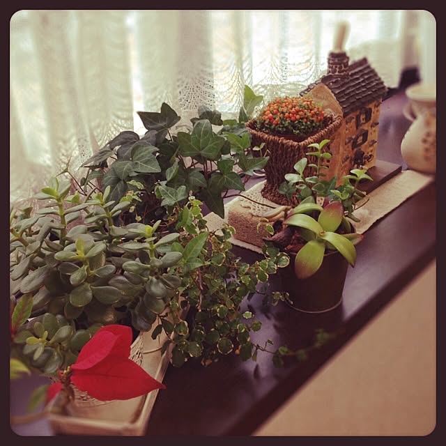 akikoさんの実例写真