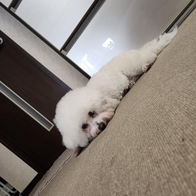 takoさんの部屋