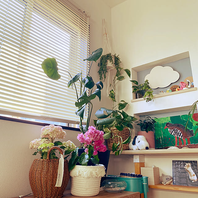 chan-homeさんの部屋