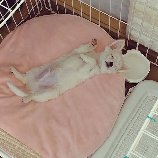 Bienvenueさんの実例写真
