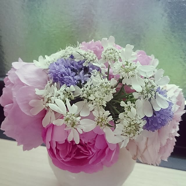 リビング/植物/オルレア/バラ/ギリアのインテリア実例 - 2017-05-14 18:35:23