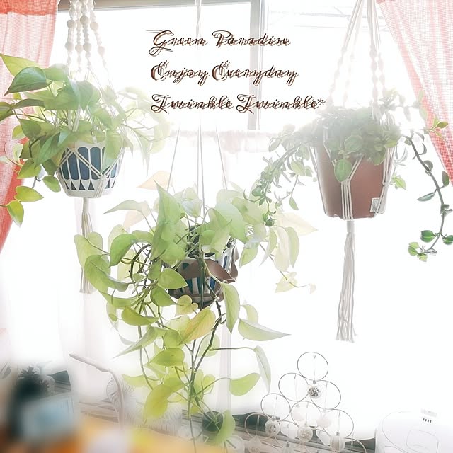 637さんの実例写真