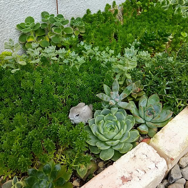 meiさんの部屋