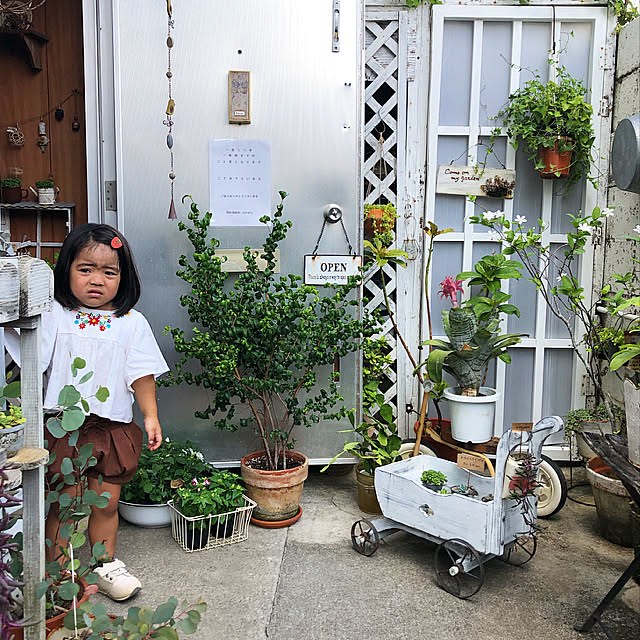 coraruさんの実例写真