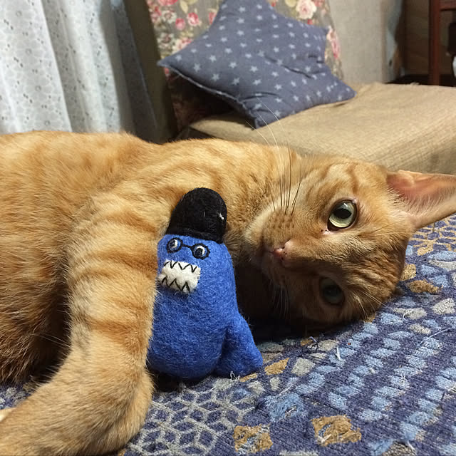 annさんの実例写真
