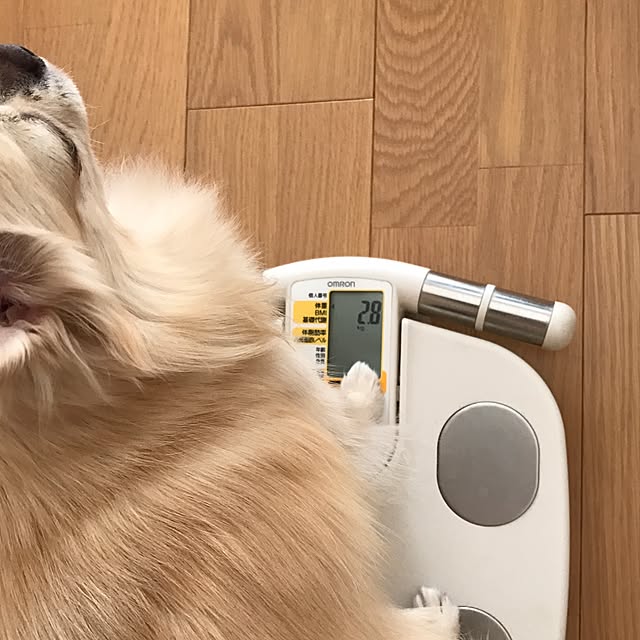 rosemaryさんの実例写真