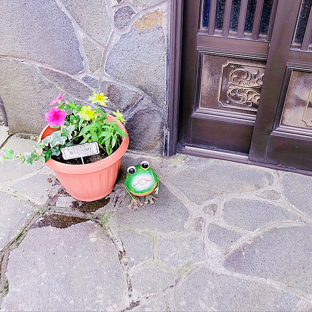 実例写真