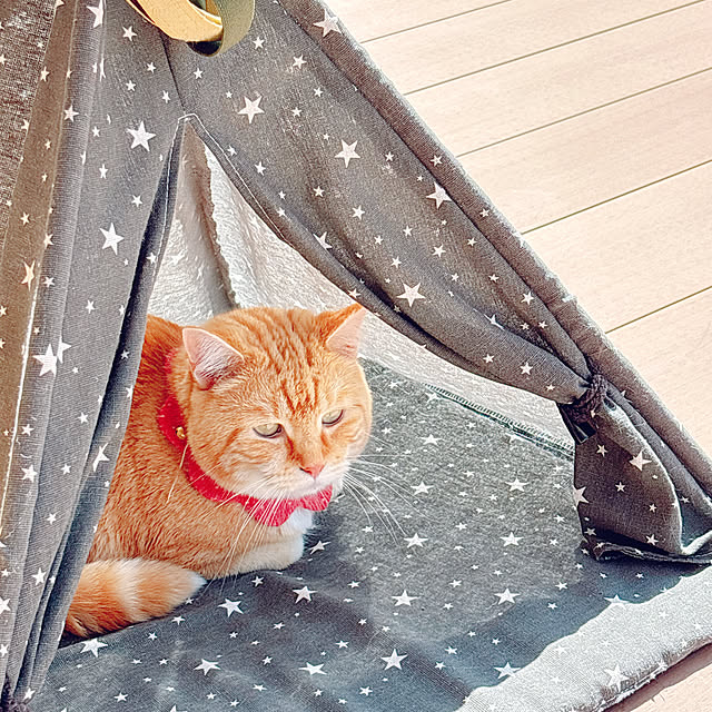 moolさんの部屋