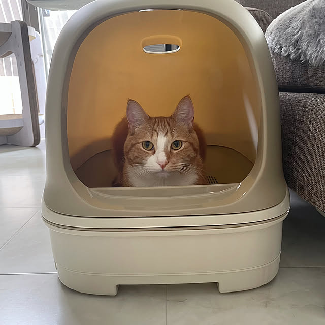 maimaiさんの部屋