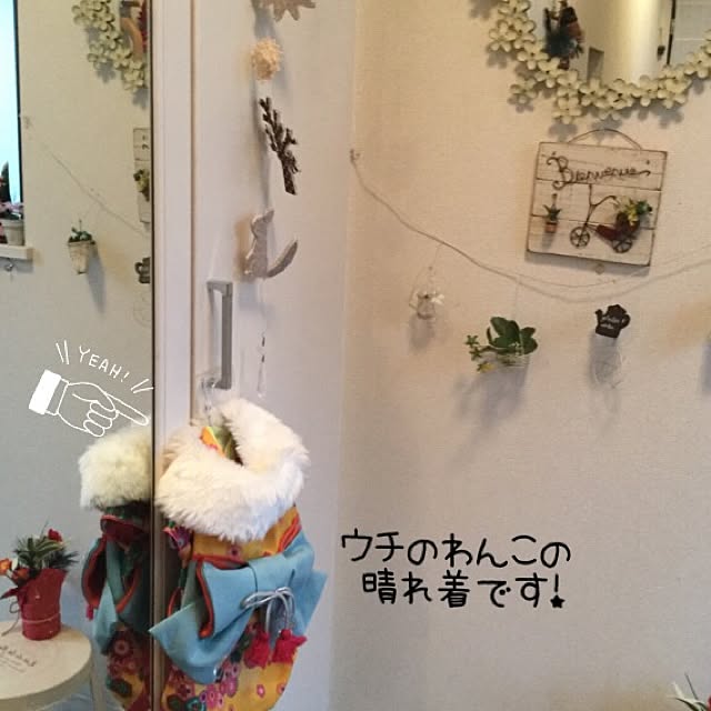 shinoshinoさんの実例写真