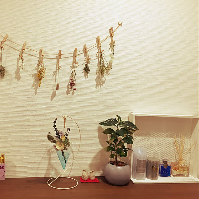 Shiroshimaさんの実例写真