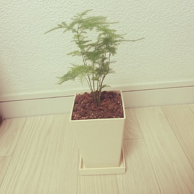 ecruさんの実例写真