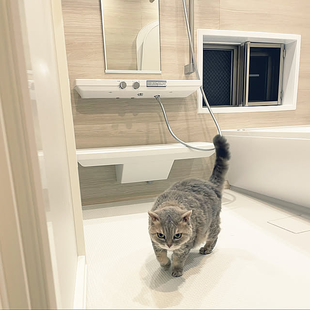 chomittさんの実例写真