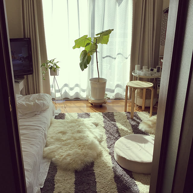 w_fox0713さんの実例写真