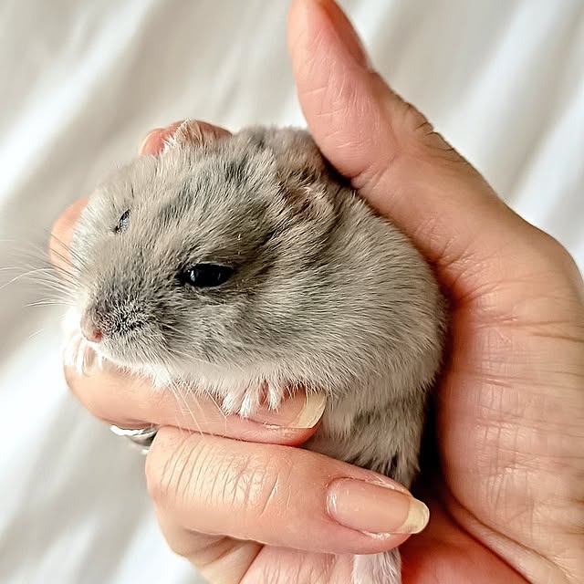 potetloveさんの実例写真