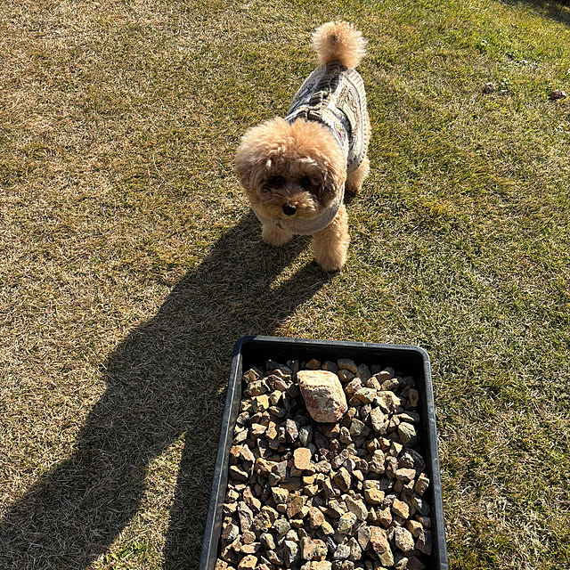 bonjiri0824さんの実例写真