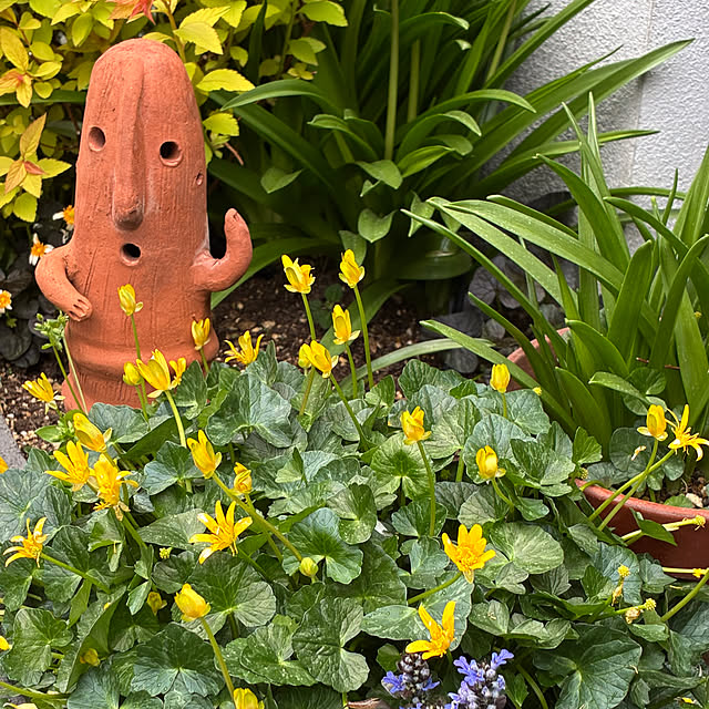 romiromiさんの部屋