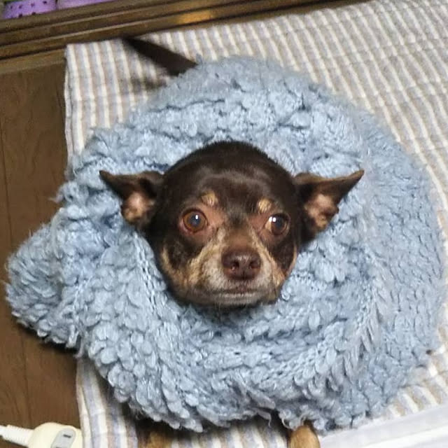 mariさんの実例写真