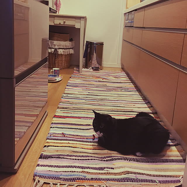 keIgoさんの実例写真