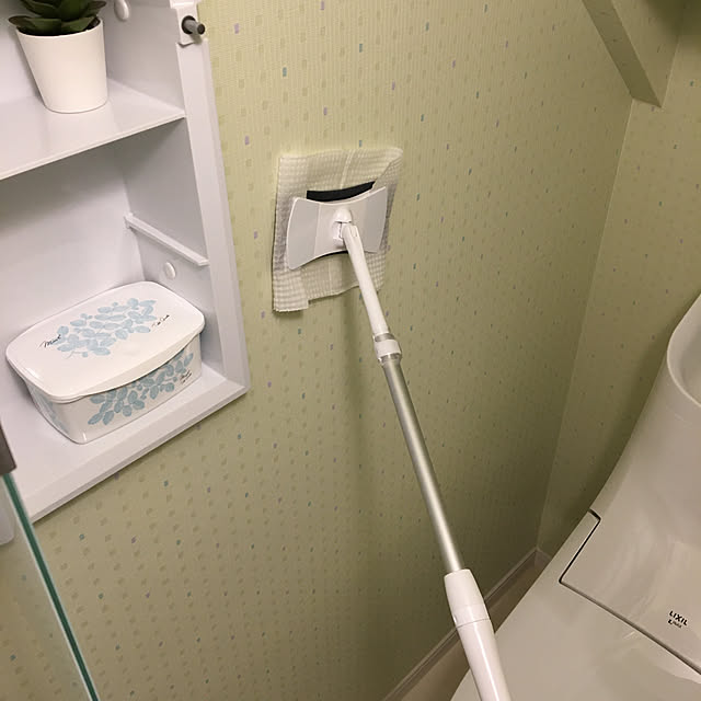 狭小/トイレの壁/ウィルス除去/ウィルス対策/掃除しやすい家...などのインテリア実例 - 2020-12-01 10:36:45