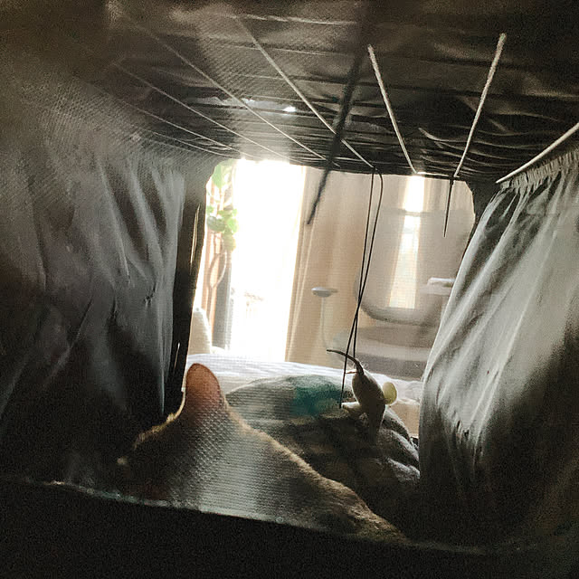Kurehaさんの実例写真