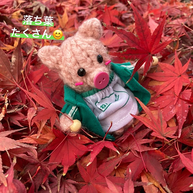 manduonmaさんの実例写真