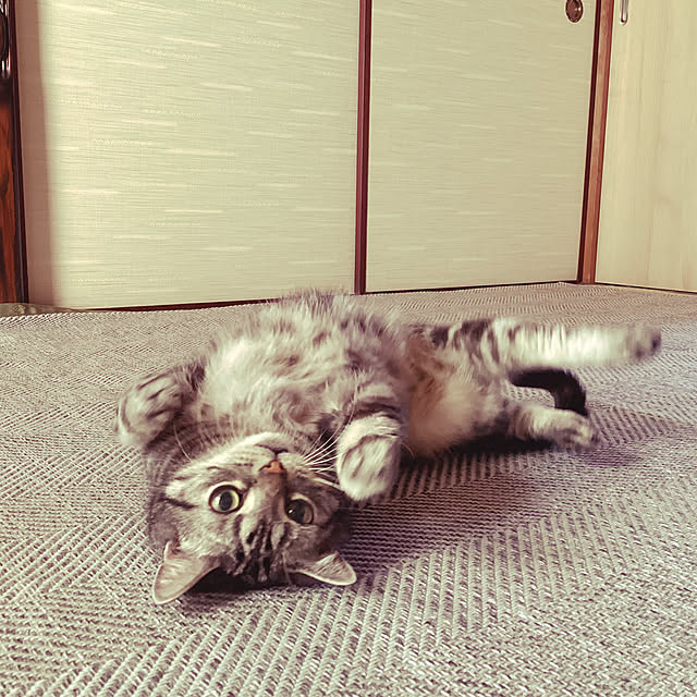 richanさんの部屋