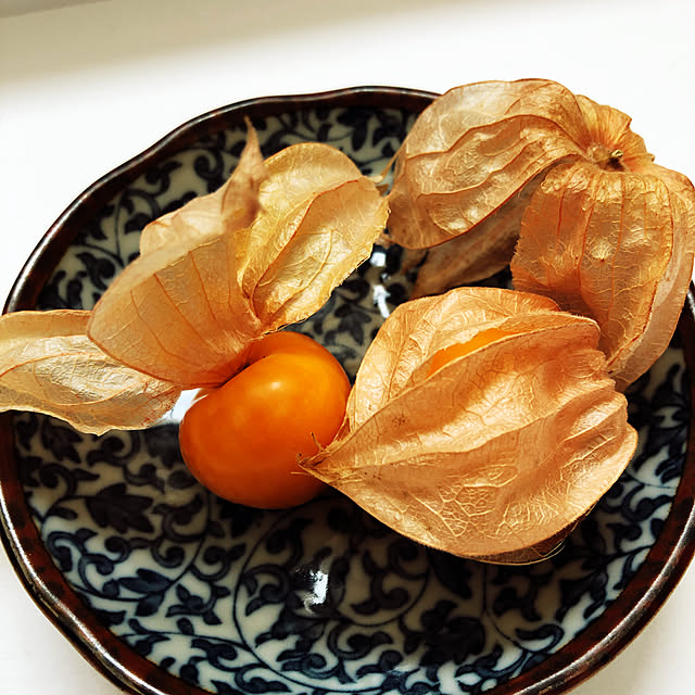 Sakikoさんの部屋