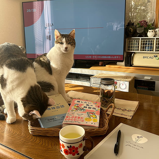 Lufuさんの部屋