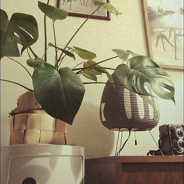 annyoshさんの実例写真