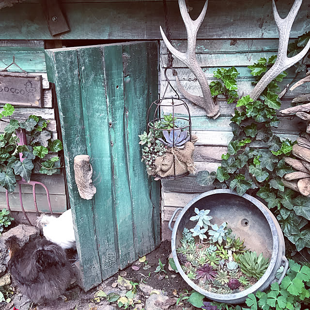 pepeさんの実例写真