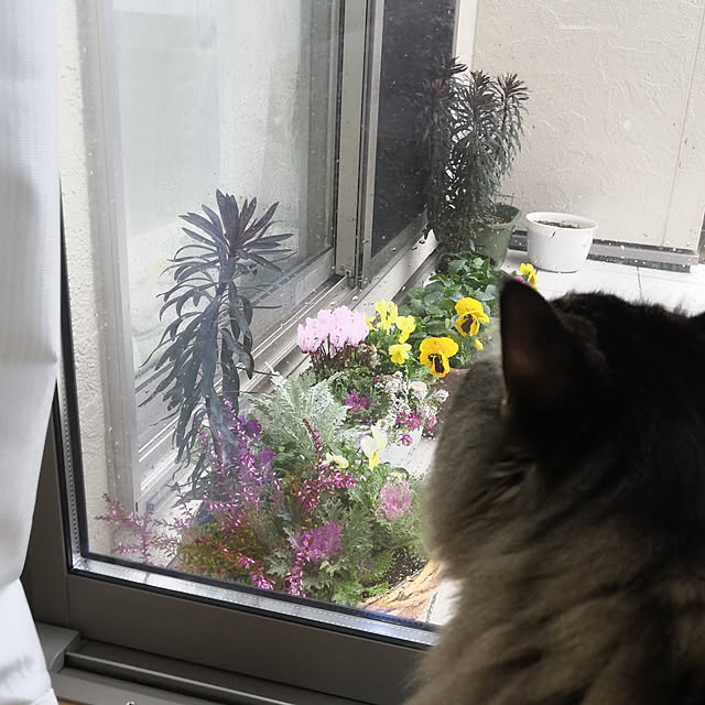 sayan_0321さんの実例写真