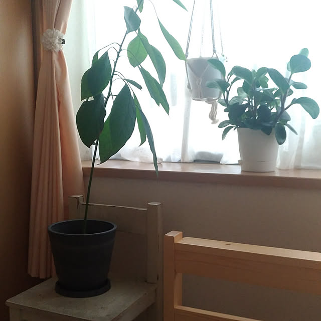 magnoliaさんの実例写真