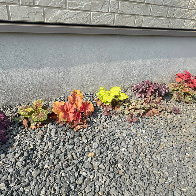 Haruさんの部屋