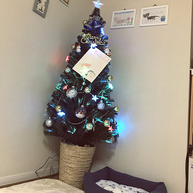 リビング/クリスマスツリー150cm/クリスマスツリーのインテリア実例 - 2018-12-10 01:44:16