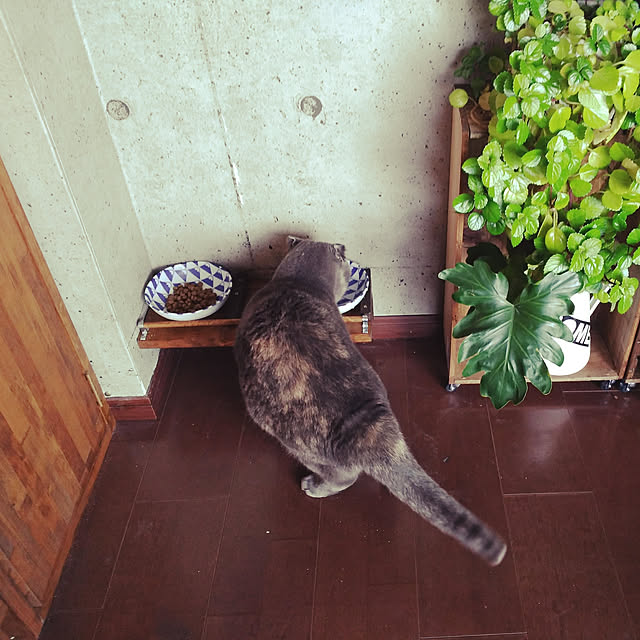 daiさんの実例写真