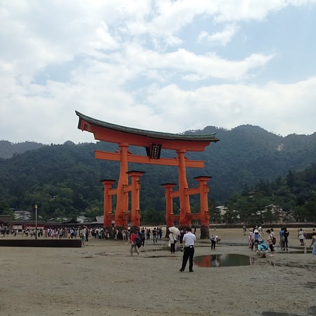 実例写真