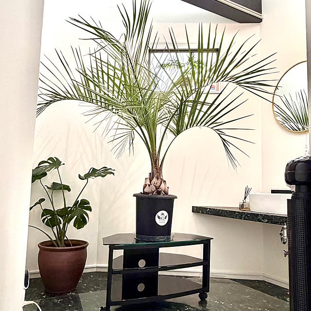 MOMOMAMAさんの部屋