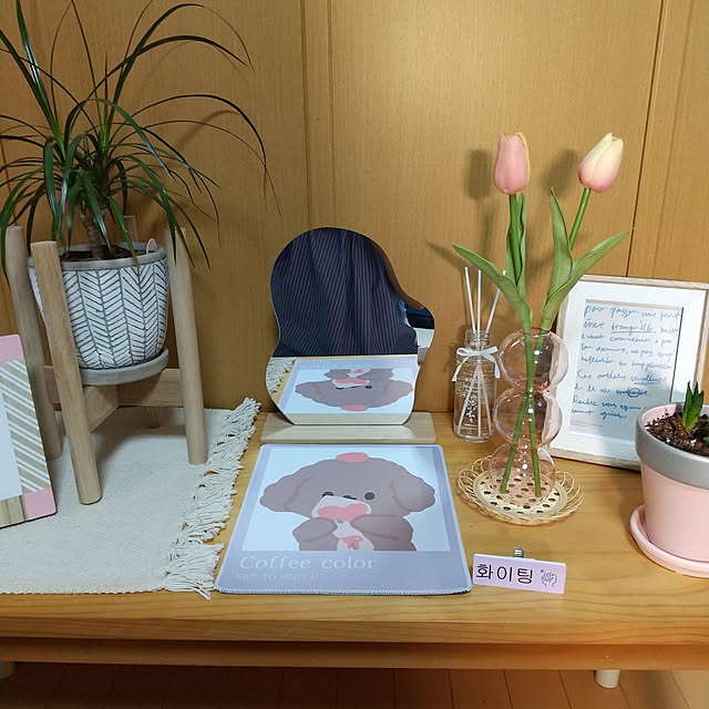 wa-ta-koさんの実例写真