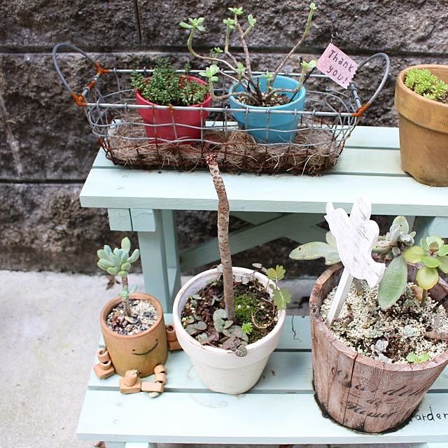 wisteriaさんの実例写真