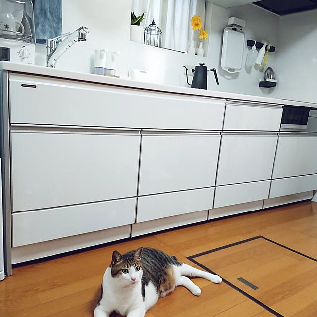 nachiさんの実例写真