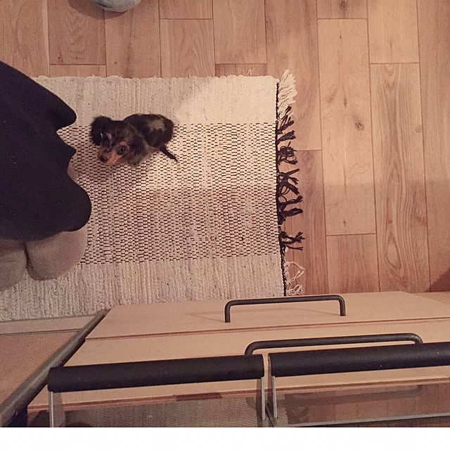 tsunotanさんの実例写真