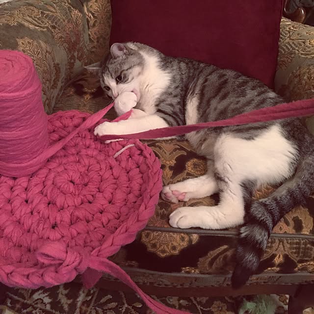 emmyyさんの実例写真
