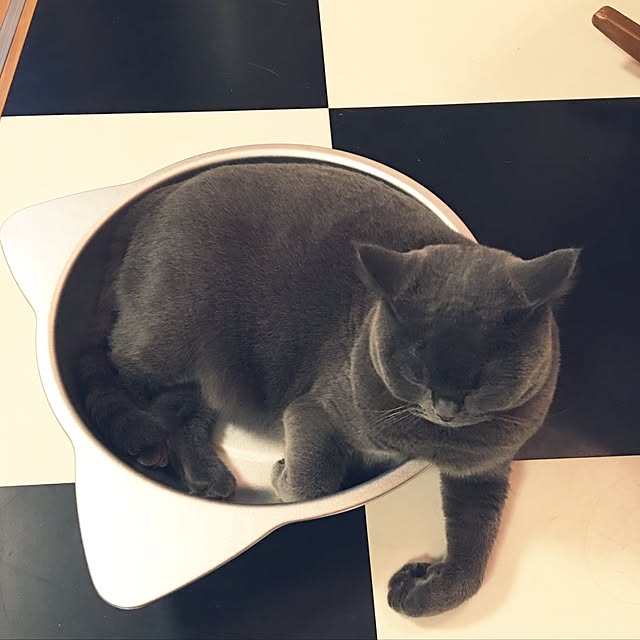 Shojiさんの実例写真