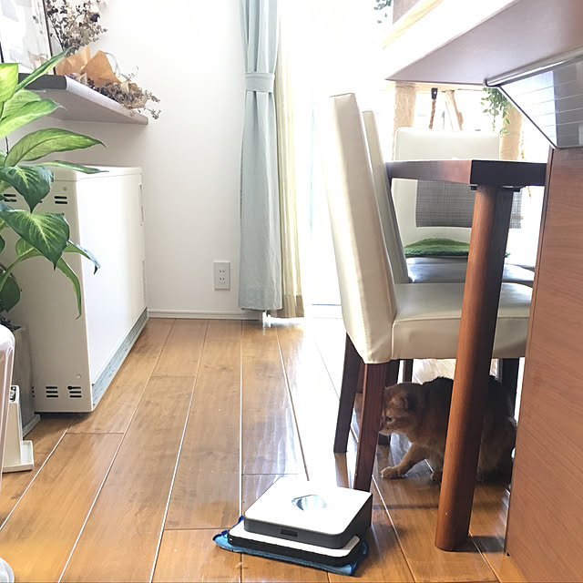 sakineko528さんの実例写真