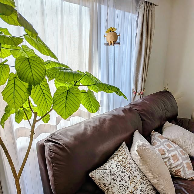 Renさんのお部屋の写真