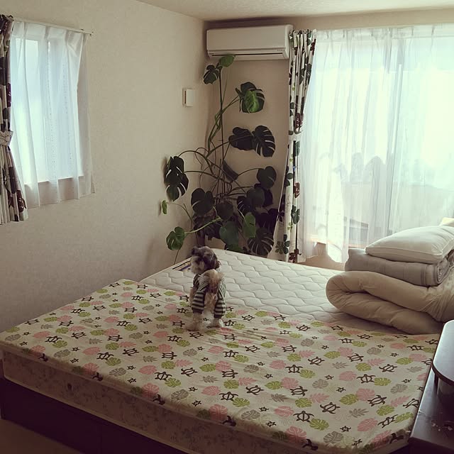 ANNAさんの実例写真