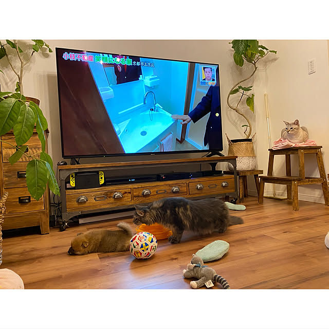 poniさんの実例写真
