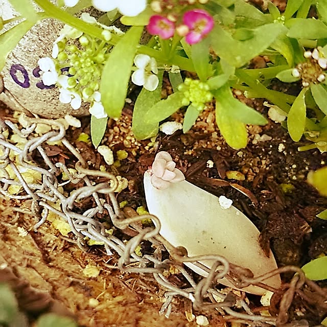beeさんの実例写真