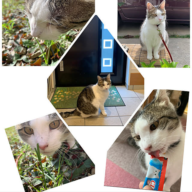 hinaさんの実例写真